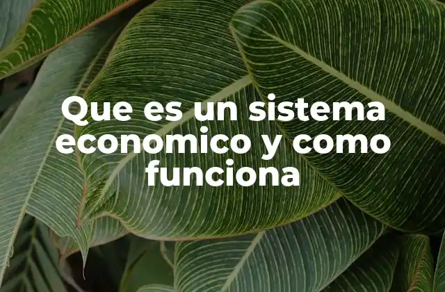Que es un Sistema Economico y como Funciona