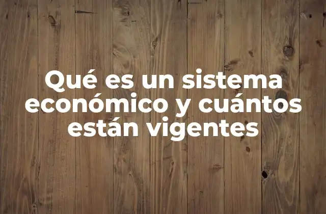 Qué es un Sistema Económico y Cuántos Están Vigentes