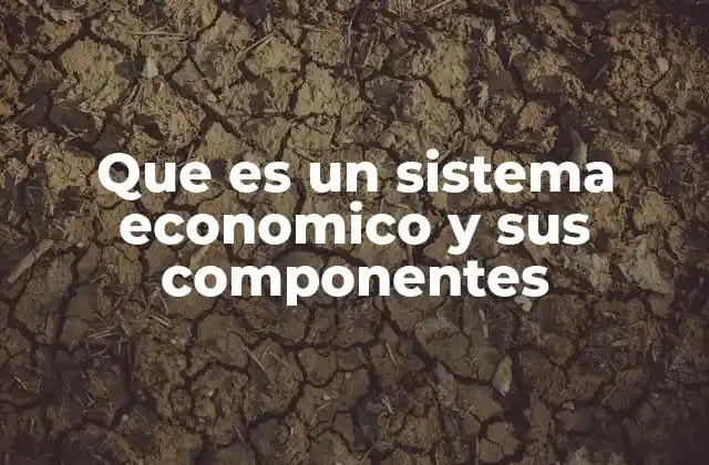 Que es un Sistema Economico y Sus Componentes