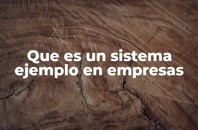 Que es un Sistema Ejemplo en Empresas