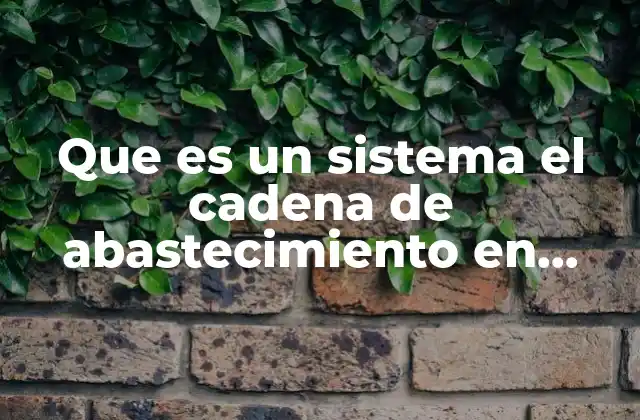 Que es un Sistema el Cadena de Abastecimiento en Logistica