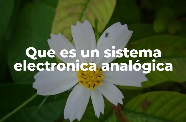 Que es un Sistema Electronica Analógica