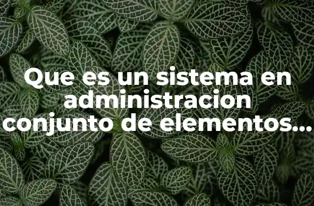 Que es un Sistema en Administracion Conjunto de Elementos Interdependentes