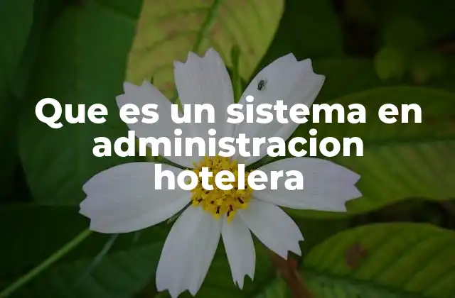 Que es un Sistema en Administracion Hotelera