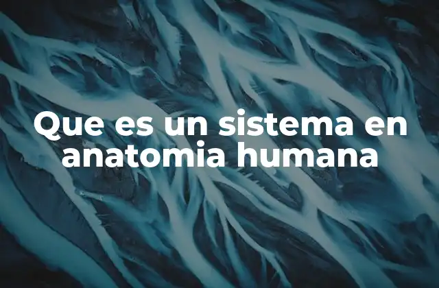Que es un Sistema en Anatomia Humana