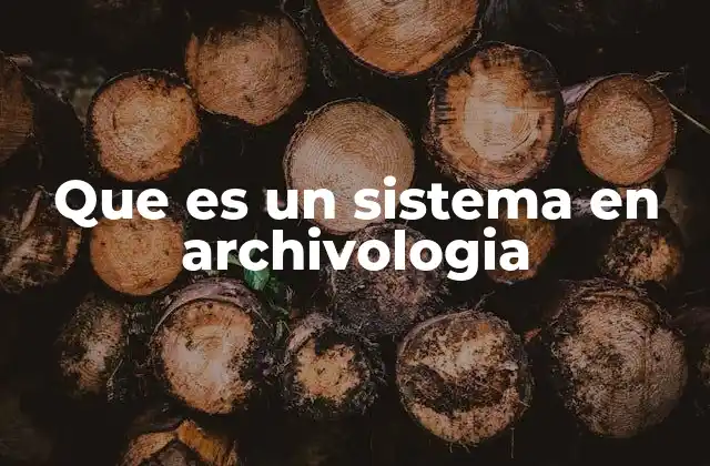 Que es un Sistema en Archivologia