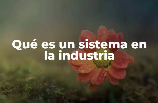 Qué es un Sistema en la Industria