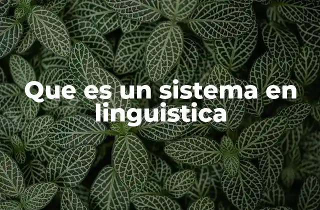 La organización de los elementos del lenguaje