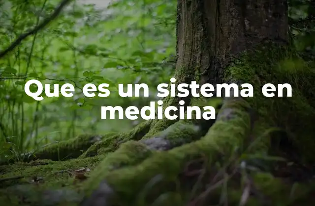 Que es un Sistema en Medicina