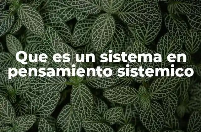 Que es un Sistema en Pensamiento Sistemico