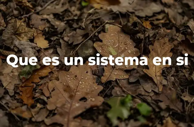 Que es un Sistema en Si