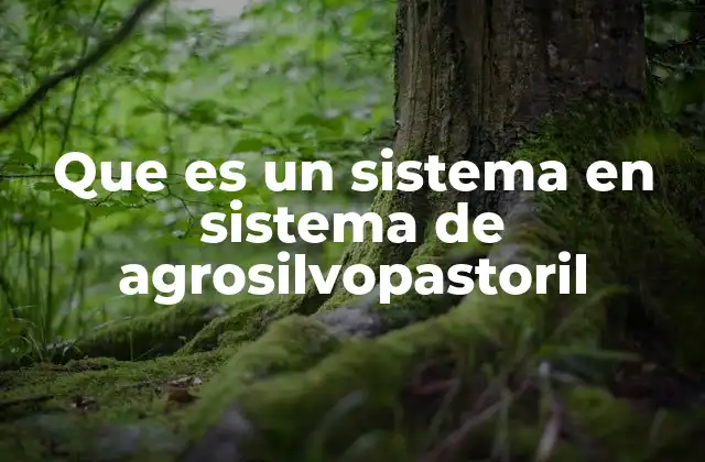 Que es un Sistema en Sistema de Agrosilvopastoril