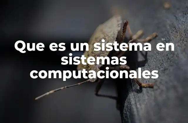 Que es un Sistema en Sistemas Computacionales