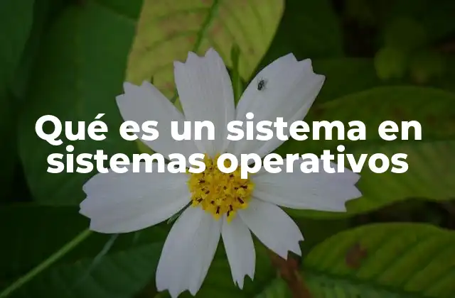 Qué es un Sistema en Sistemas Operativos 2 El rol central de los sistemas operativos en la computación moderna