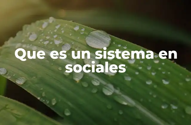 Que es un Sistema en Sociales