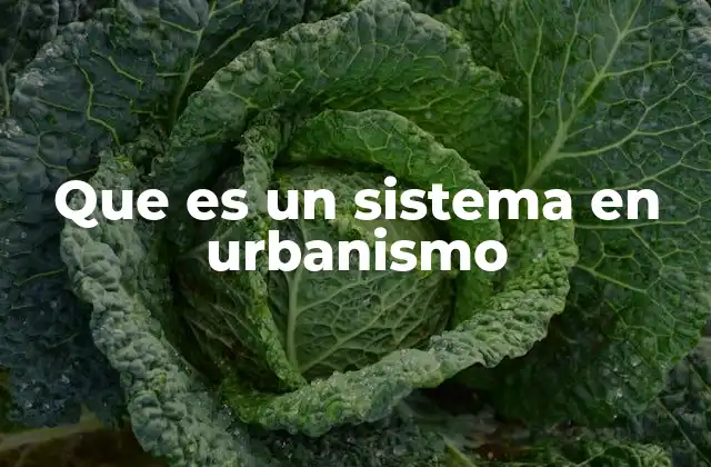 Que es un Sistema en Urbanismo