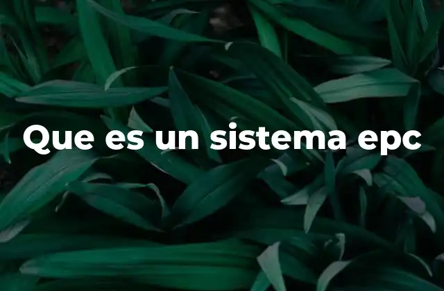 Que es un Sistema Epc