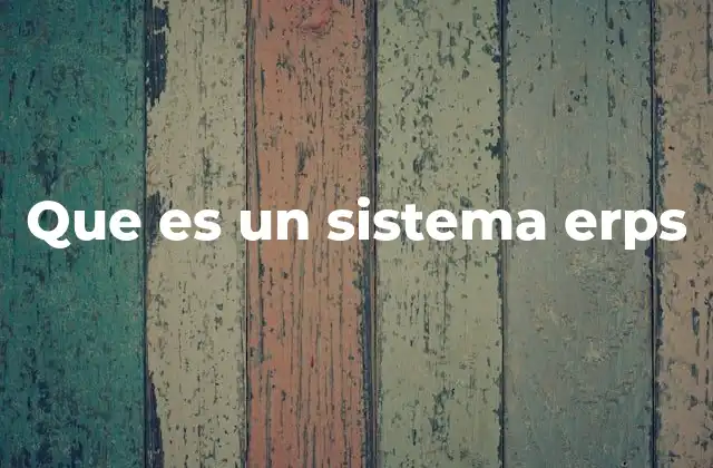 Que es un Sistema Erps