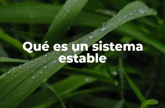 Qué es un Sistema Estable
