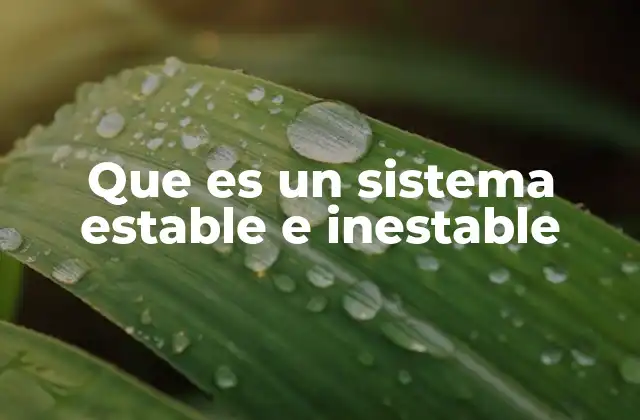 Que es un Sistema Estable e Inestable