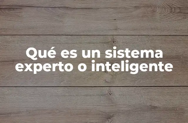 Qué es un Sistema Experto o Inteligente