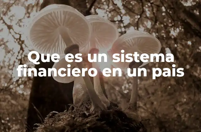 Que es un Sistema Financiero en un Pais