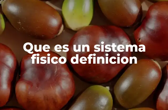 Que es un Sistema Fisico Definicion