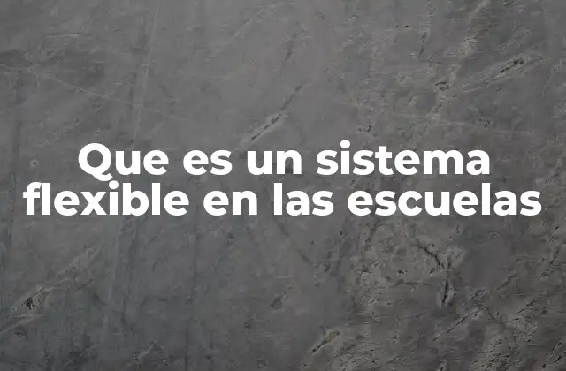 Que es un Sistema Flexible en las Escuelas