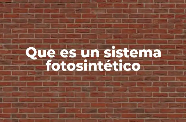Que es un Sistema Fotosintético