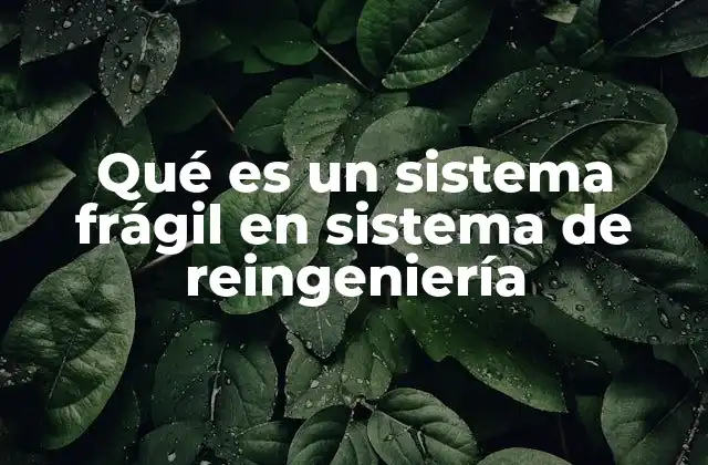Qué es un Sistema Frágil en Sistema de Reingeniería