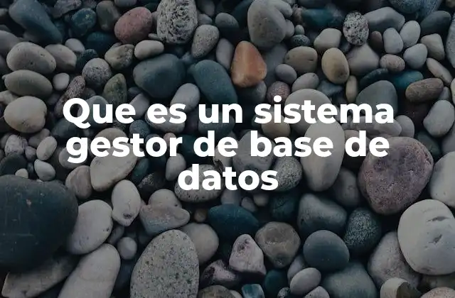 Que es un Sistema Gestor de Base de Datos