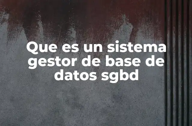 Que es un Sistema Gestor de Base de Datos Sgbd