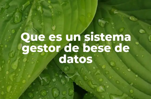 Que es un Sistema Gestor de Bese de Datos