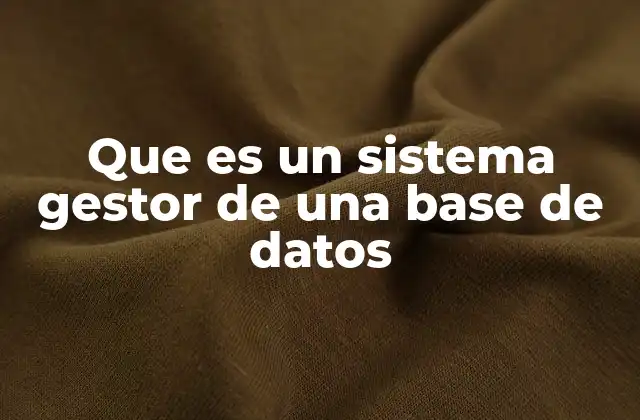 Que es un Sistema Gestor de una Base de Datos