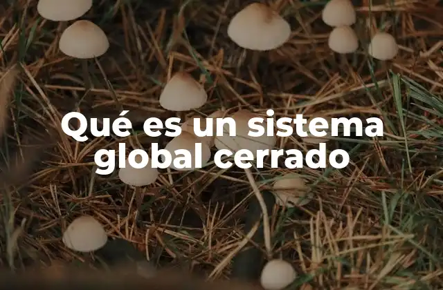 Qué es un Sistema Global Cerrado