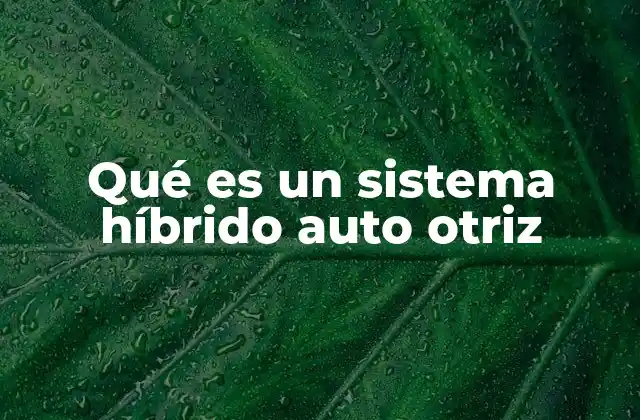 Qué es un Sistema Híbrido Auto Otriz