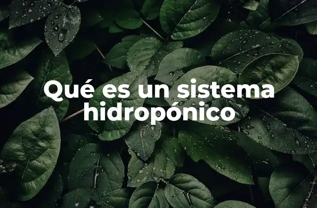 Qué es un Sistema Hidropónico