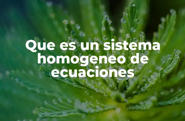 Que es un Sistema Homogeneo de Ecuaciones