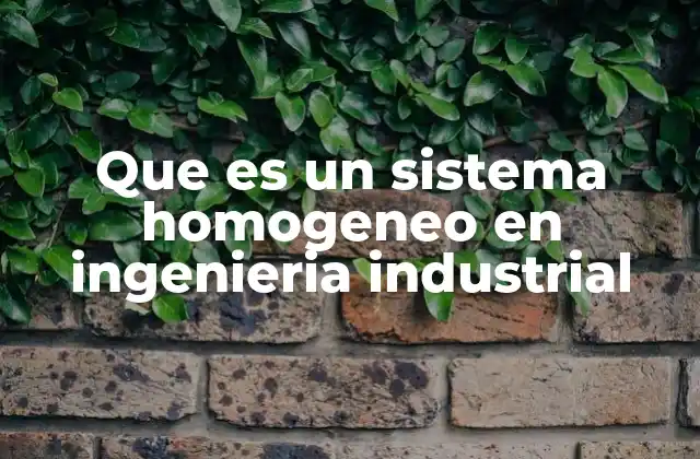Que es un Sistema Homogeneo en Ingenieria Industrial