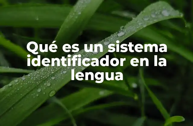 Qué es un Sistema Identificador en la Lengua