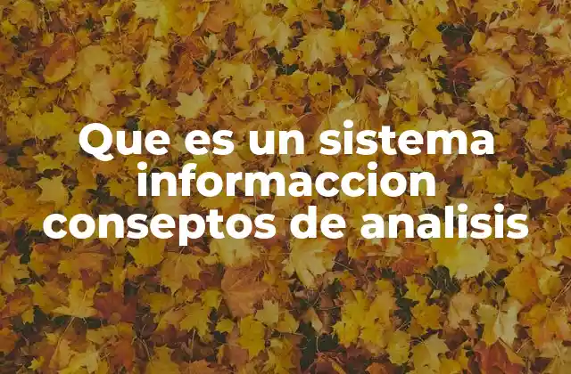 La importancia de los sistemas de información en el entorno moderno