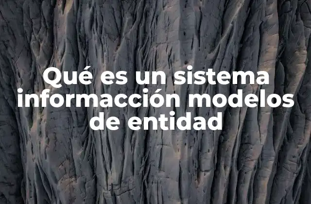 Qué es un Sistema Informacción Modelos de Entidad