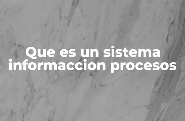 Que es un Sistema Informaccion Procesos
