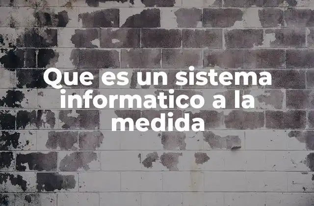 Que es un Sistema Informatico a la Medida