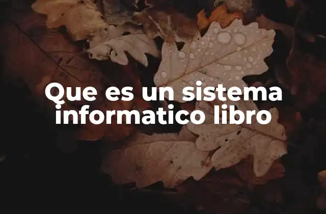 Que es un Sistema Informatico Libro