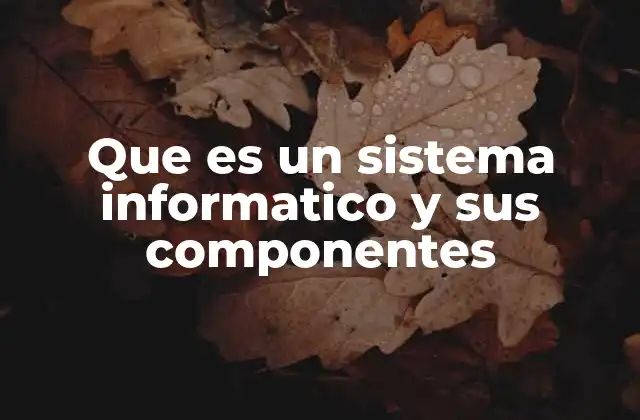 Que es un Sistema Informatico y Sus Componentes