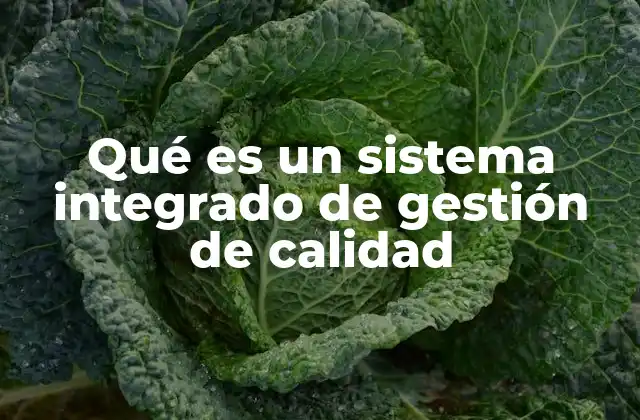 Qué es un Sistema Integrado de Gestión de Calidad