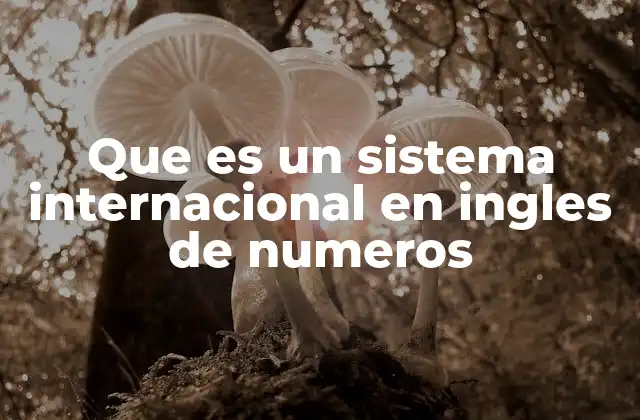 Que es un Sistema Internacional en Ingles de Numeros