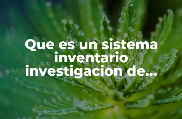 Que es un Sistema Inventario Investigacion de Operaciones