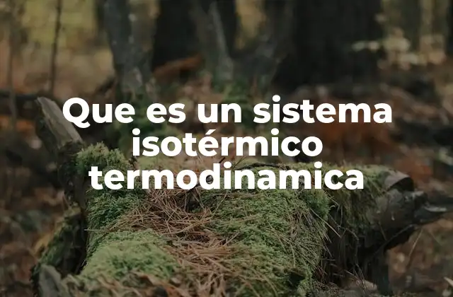 Que es un Sistema Isotérmico Termodinamica